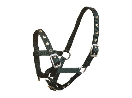 HALSTER NYLON PONY GROEN