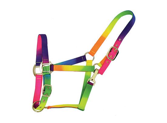 HALSTER MET GOUDKLEURIG BESLAG RAINBOW COB